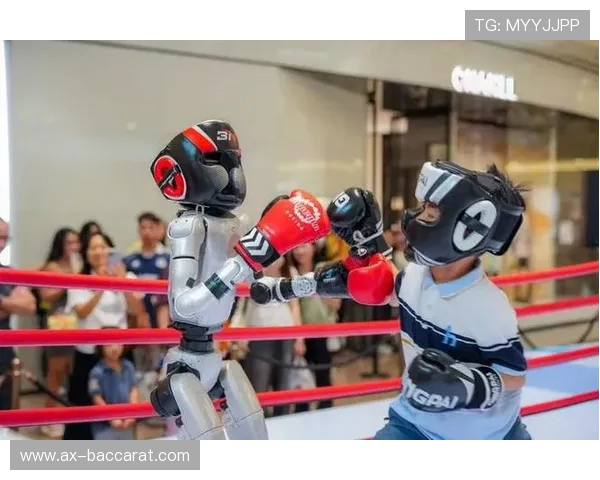 双人合作或对抗机器人格斗游戏全新体验挑战赛